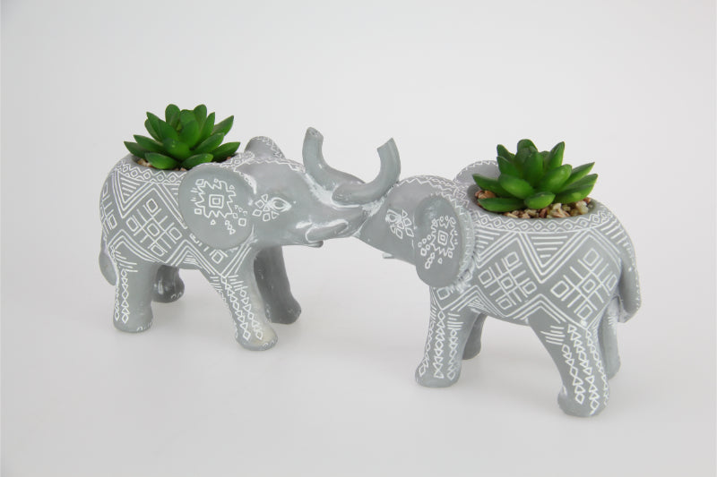 Tribal elephant with succulents