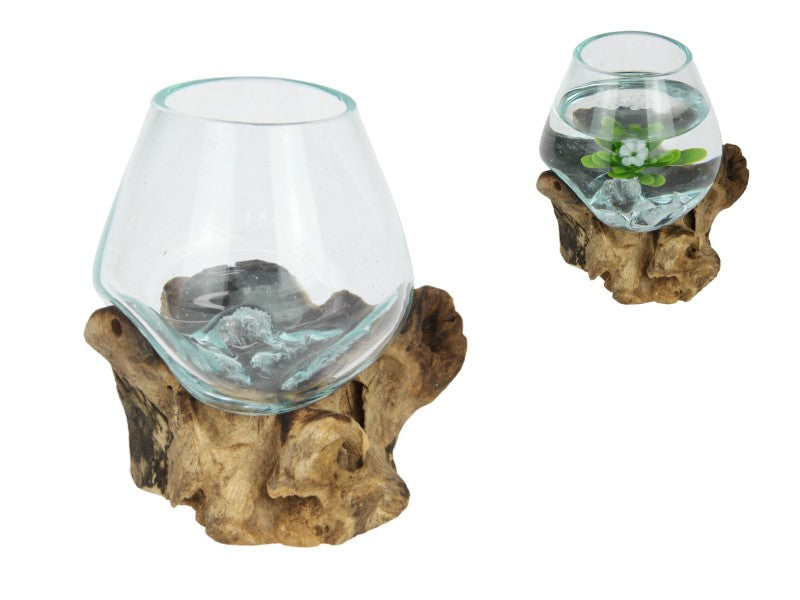 Unique Hand Blown Glass Fish Bowl/Terrarium on Natural Driftwood