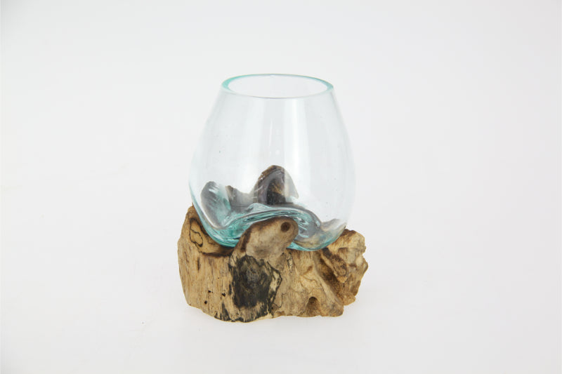 Unique Hand Blown Glass Fish Bowl/Terrarium on Natural Driftwood