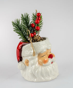 Santa Pot with Berry Plant  (Gift box)