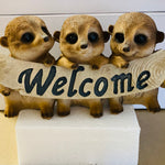 Meerkat Triplets Welcome log