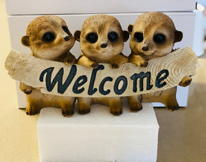 Meerkat Triplets Welcome log