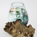 Unique Hand Blown Glass Bowl Perched on Driftwood