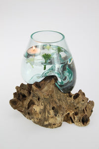 Unique Hand Blown Glass Bowl Perched on Driftwood