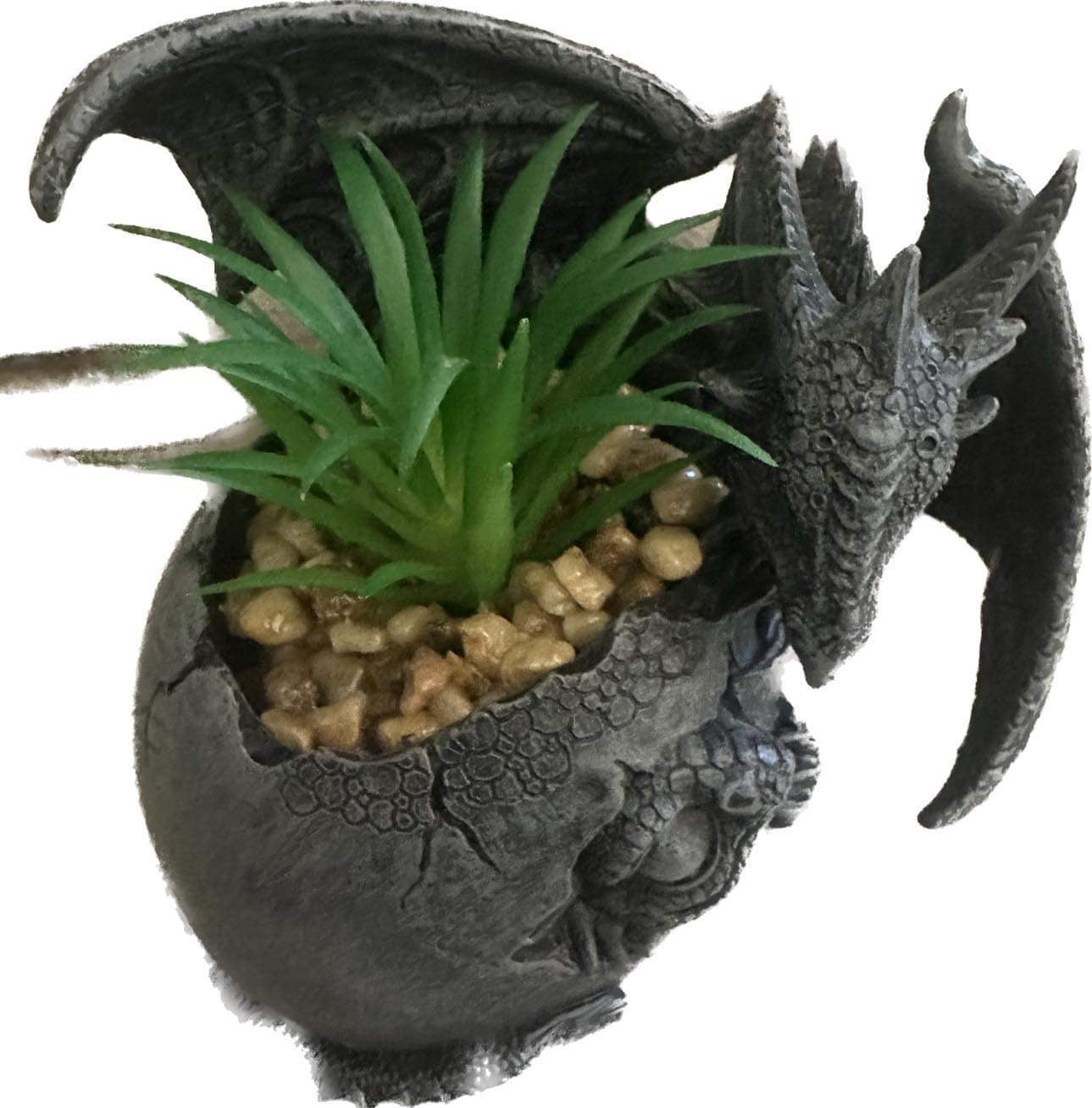 Black & Silver Dragon Pot Set