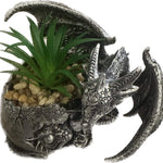 Black & Silver Dragon Pot Set