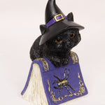 Witch Cat on The Book of Spells