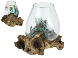 Unique Hand Blown Glass Bowl Perched on Driftwood