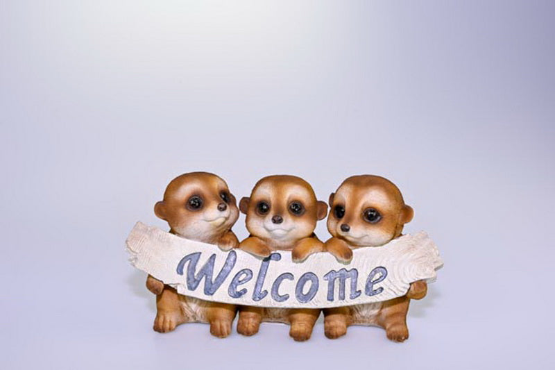 Meerkat Triplets Welcome log