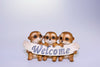 Meerkat Triplets Welcome log