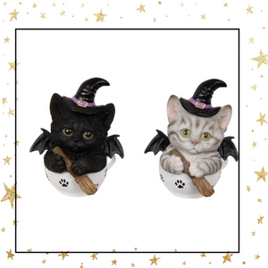 Cat Witch Set with Broomstick