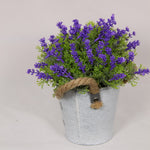 19cm Potted Flowers with Rope Handle set of 2