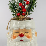 Santa Pot with Berry Plant  (Gift box)