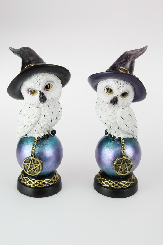 Owl with Witches Hat on Celtic Ball
