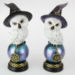 Owl with Witches Hat on Celtic Ball