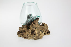 Unique Hand Blown Glass Bowl Perched on Driftwood